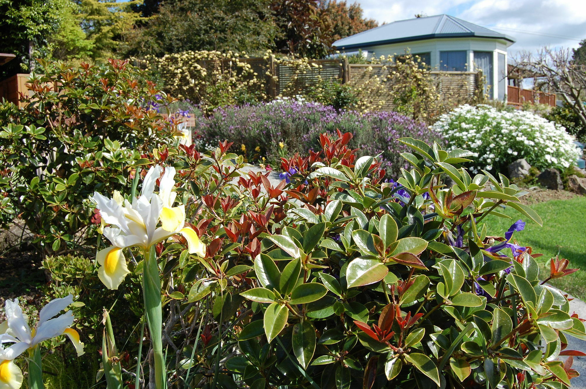 Te Awa Lodge Paihia Buitenkant foto