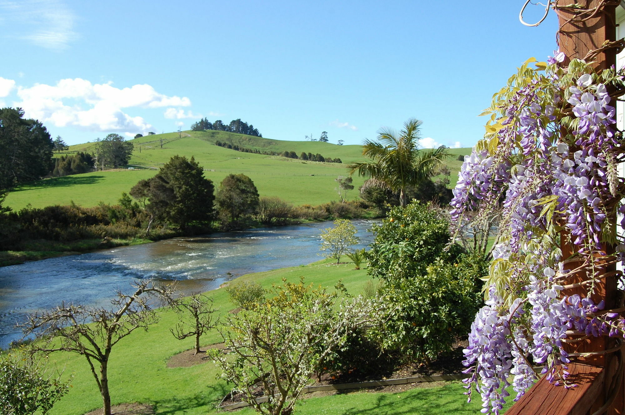 Te Awa Lodge Paihia Buitenkant foto