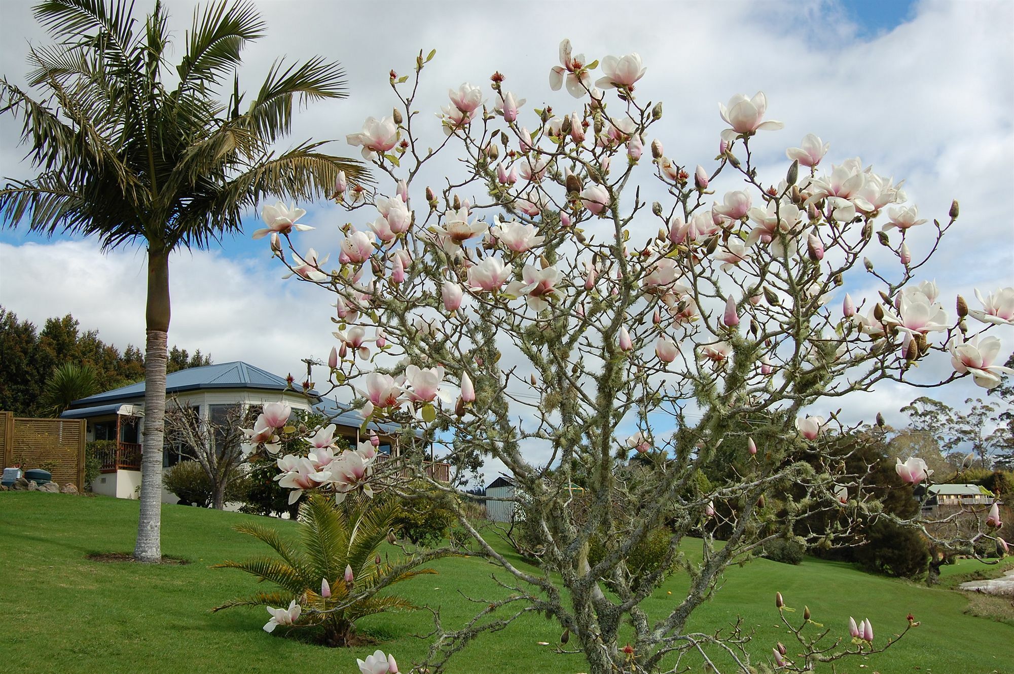 Te Awa Lodge Paihia Buitenkant foto